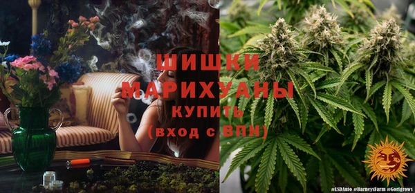 каннабис Ельня