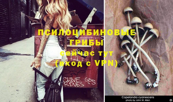 меф Елабуга